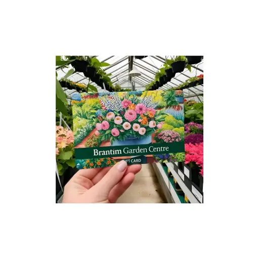 $25.00 Gift Card